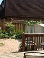 IMG_1148