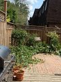 IMG_1149