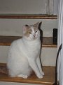 IMG_2033