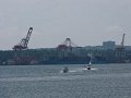 IMG_2042