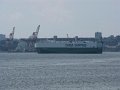 IMG_2043