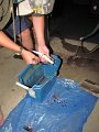 IMG_2050