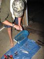 IMG_2054