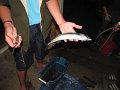 IMG_2058