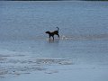 IMG_2090