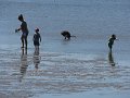 IMG_2091
