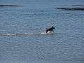 IMG_2092