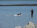 IMG_2093