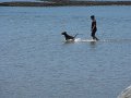 IMG_2094