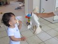 IMG_4105
