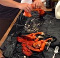 IMG_0607