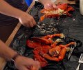 IMG_0609