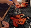 IMG_0610