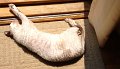IMG_0612