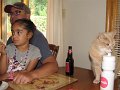 IMG_5244