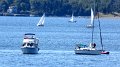 IMG_1219