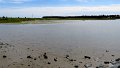 IMG_1221