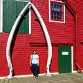IMG_1274