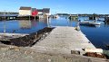 IMG_1303
