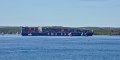 _DSC0745