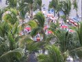 IMG_2185